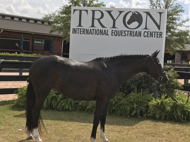 MinnieConfirmation .jpg